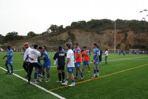 IMG_2918 (1728 x 1152)